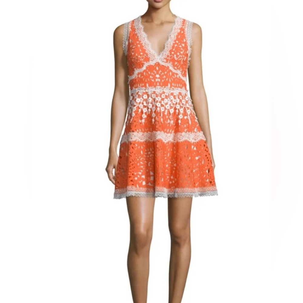 Alexis Lace Pattern Mini Dress